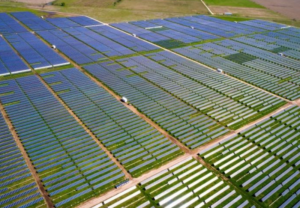 Report on Top Global Large-Scale Solar PV Developers