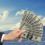 Greenwood Sustainable Infrastructure Acquires 556 MW Solar Project