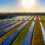 Project Finance Brief: Enfinity Global Raises $242 Million for Solar Projects in Japan