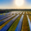 Scale Microgrids Acquires 100 MW of Community Solar Projects in New York