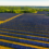 Low Carbon Secures $391 Million Financing for Solar Projects in the UK