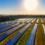 AMEA Power Reaches Financial Close on 120 MW Solar Project