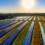 Standard Solar Acquires 84 MW Community Solar Portfolio